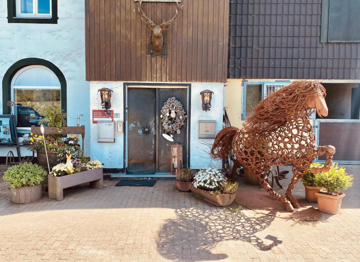 Hof Vierzehnender Im Hohen Venn - 70Qm Maisonette - 2 Schlafzimmer - Wohnkueche - Balkon Mit Grill - Monschau - Eifel - Hunde Willkommen - Islandpferde 外观 照片