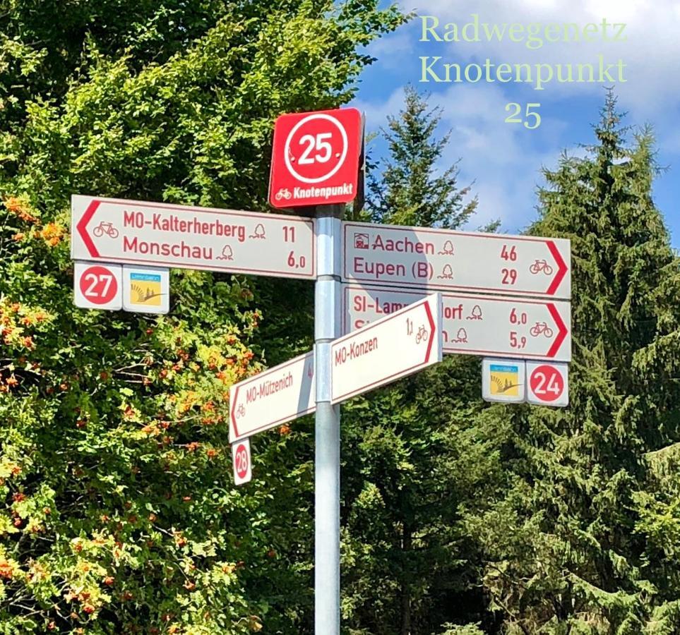Hof Vierzehnender Im Hohen Venn - 70Qm Maisonette - 2 Schlafzimmer - Wohnkueche - Balkon Mit Grill - Monschau - Eifel - Hunde Willkommen - Islandpferde 外观 照片