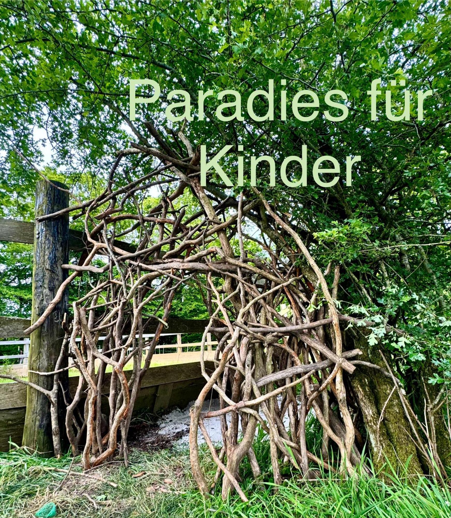 Hof Vierzehnender Im Hohen Venn - 70Qm Maisonette - 2 Schlafzimmer - Wohnkueche - Balkon Mit Grill - Monschau - Eifel - Hunde Willkommen - Islandpferde 外观 照片