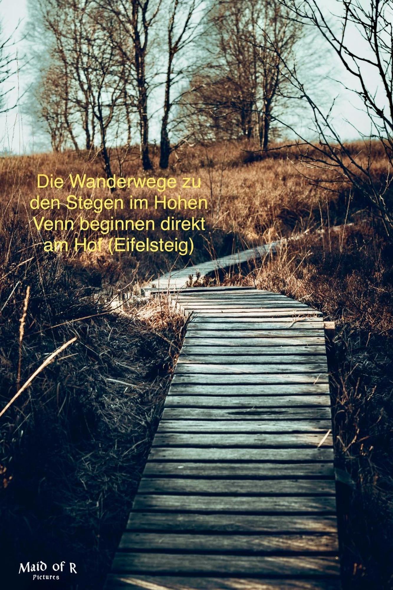 Hof Vierzehnender Im Hohen Venn - 70Qm Maisonette - 2 Schlafzimmer - Wohnkueche - Balkon Mit Grill - Monschau - Eifel - Hunde Willkommen - Islandpferde 外观 照片