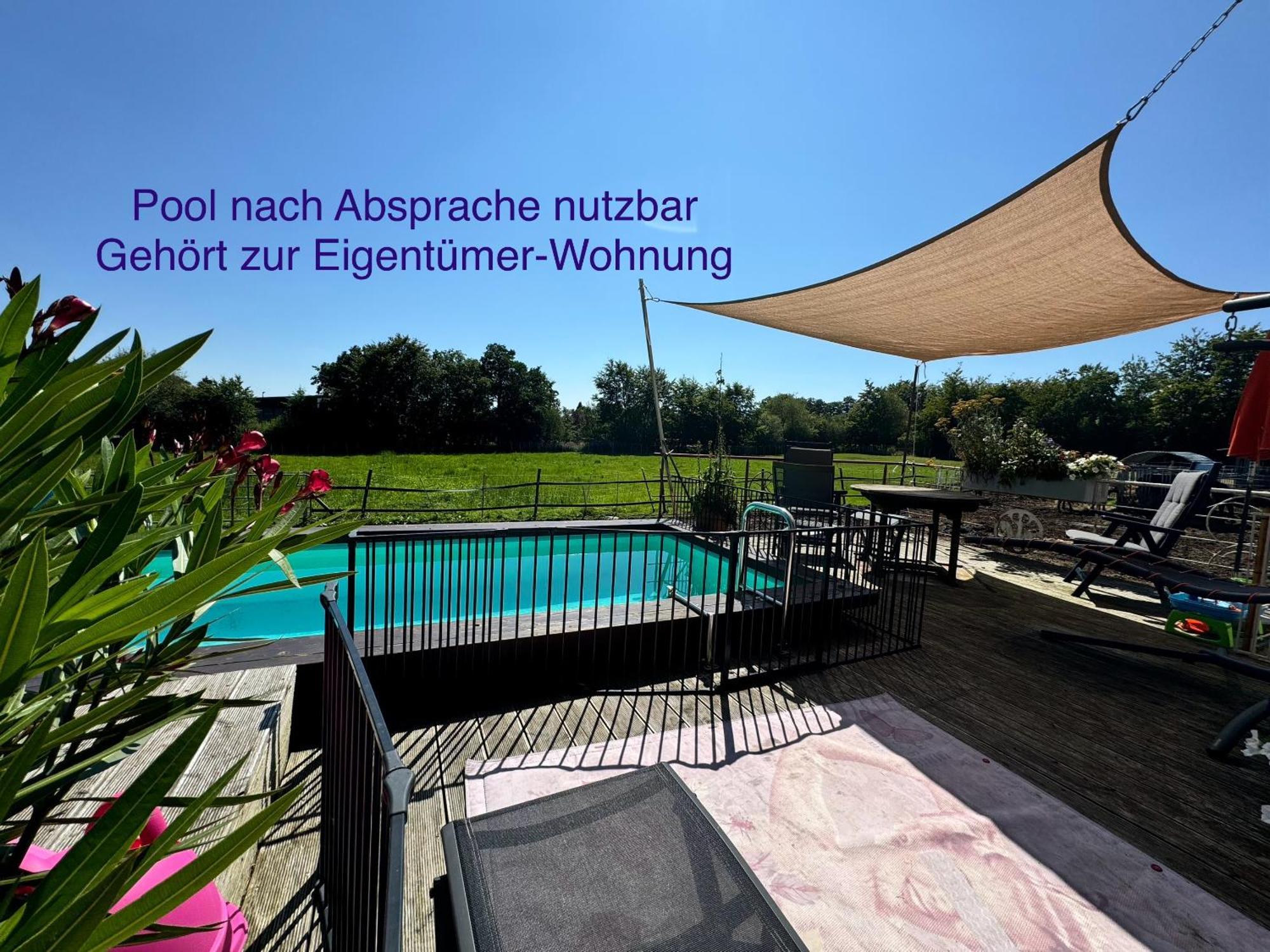 Hof Vierzehnender Im Hohen Venn - 70Qm Maisonette - 2 Schlafzimmer - Wohnkueche - Balkon Mit Grill - Monschau - Eifel - Hunde Willkommen - Islandpferde 外观 照片