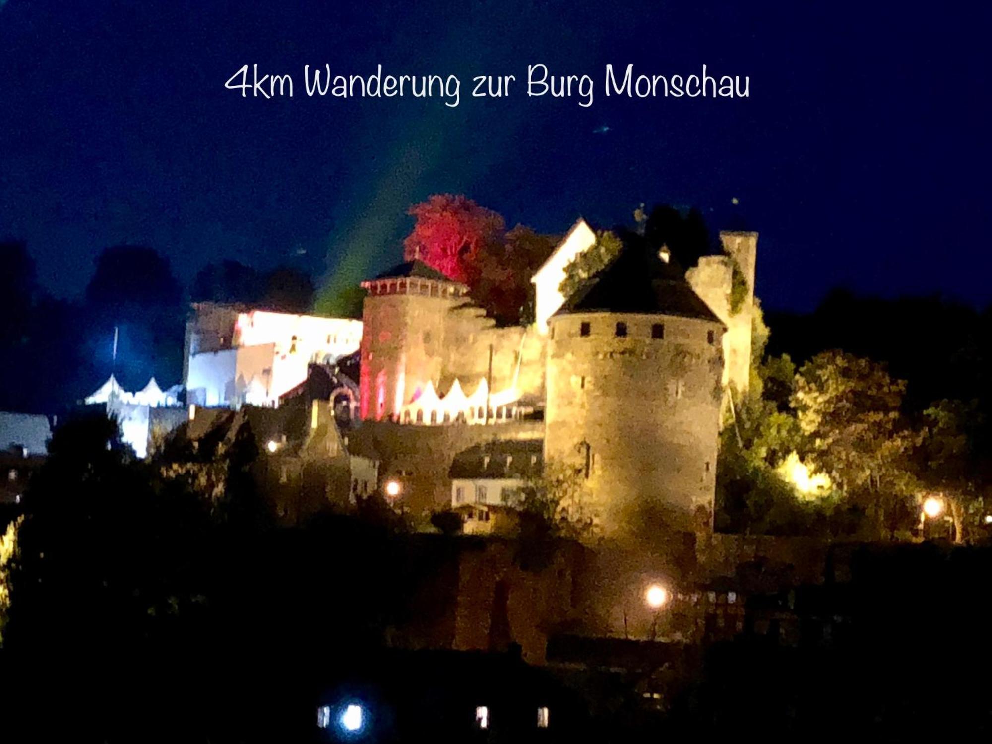Hof Vierzehnender Im Hohen Venn - 70Qm Maisonette - 2 Schlafzimmer - Wohnkueche - Balkon Mit Grill - Monschau - Eifel - Hunde Willkommen - Islandpferde 外观 照片